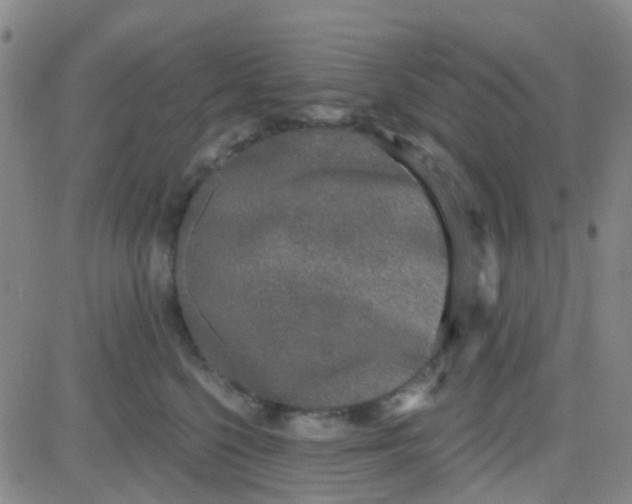 X0000083990568200703021942