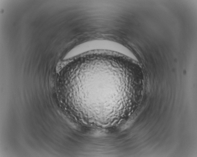 X0000083990569200703021942