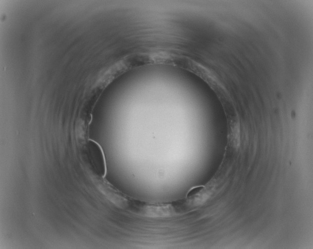 X0000083990571200703021942