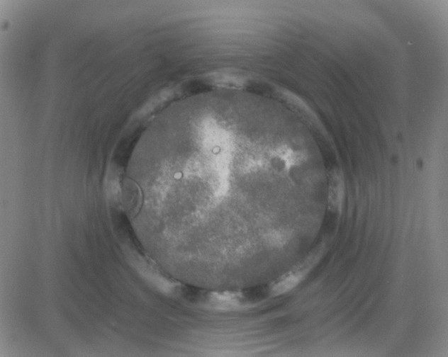 X0000083990573200703021942