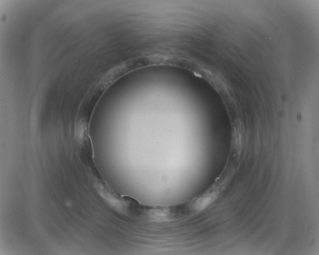 X0000083990574200703021942