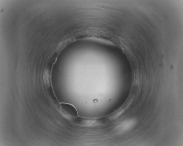 X0000083990575200703021942