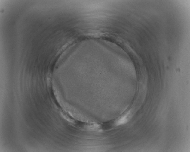 X0000083990576200703021943