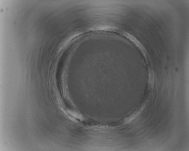 X0000083990577200703021942