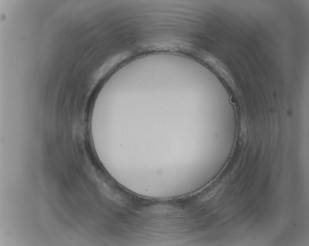 X0000083990578200703021942