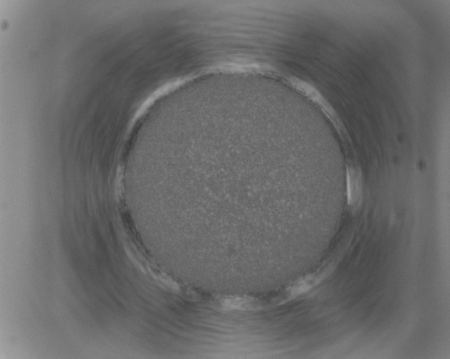 X0000083990579200703021942