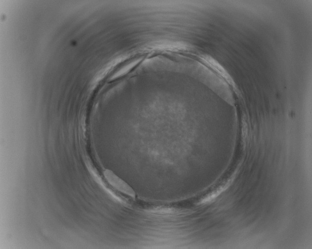 X0000083990581200703021942