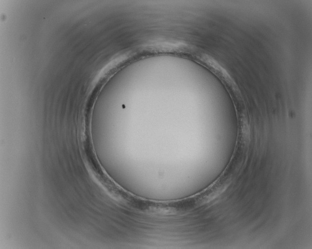 X0000083990582200703021942