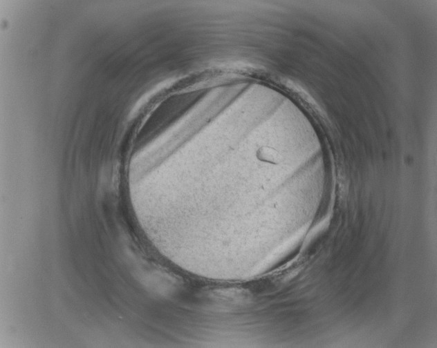 X0000083990583200703021942