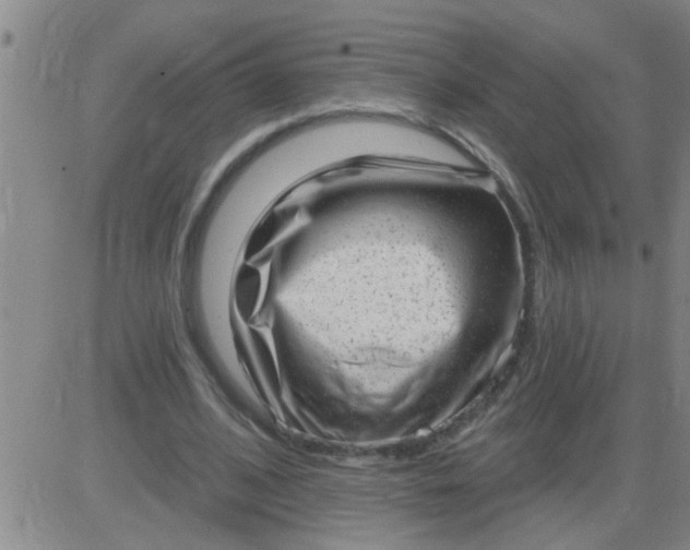 X0000083990584200703021942