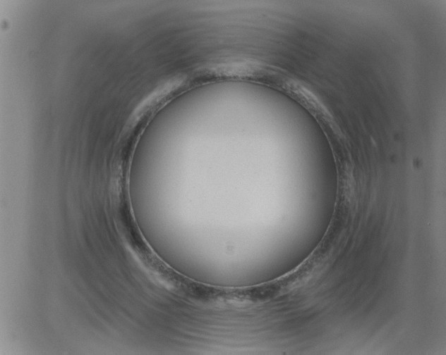 X0000083990586200703021942