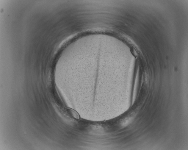 X0000083990588200703021942