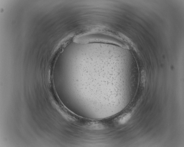 X0000083990589200703021942