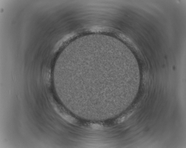 X0000083990592200703021941