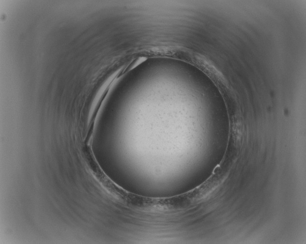 X0000083990593200703021941