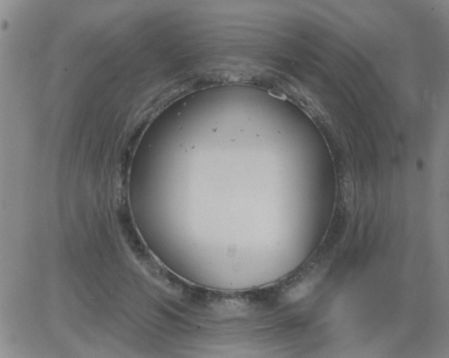 X0000083990594200703021941