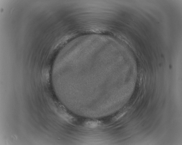 X0000083990595200703021941