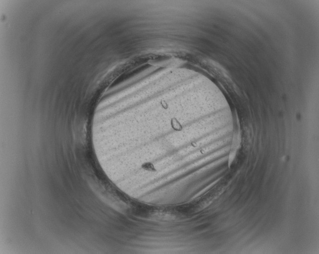 X0000083990596200703021941