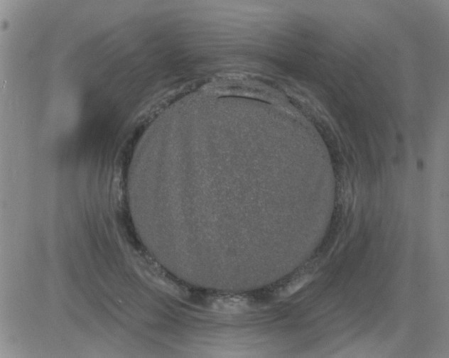 X0000083990599200703021941