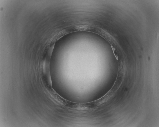 X0000083990601200703021941