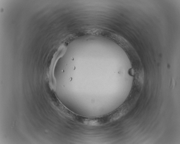 X0000083990602200703021941