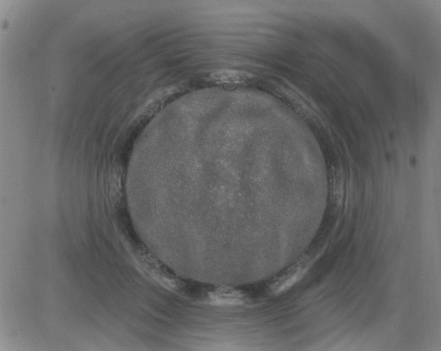 X0000083990603200703021941