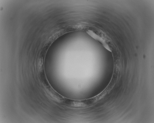 X0000083990605200703021941