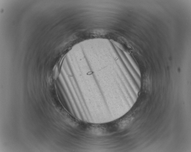 X0000083990608200703021941