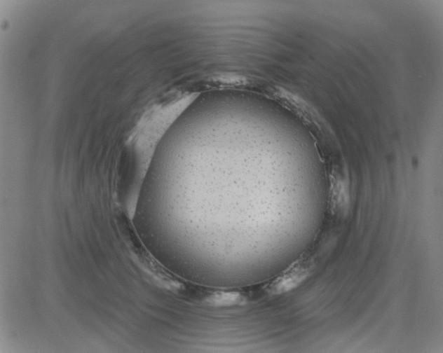 X0000083990609200703021941