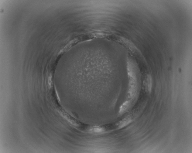 X0000083990610200703021941