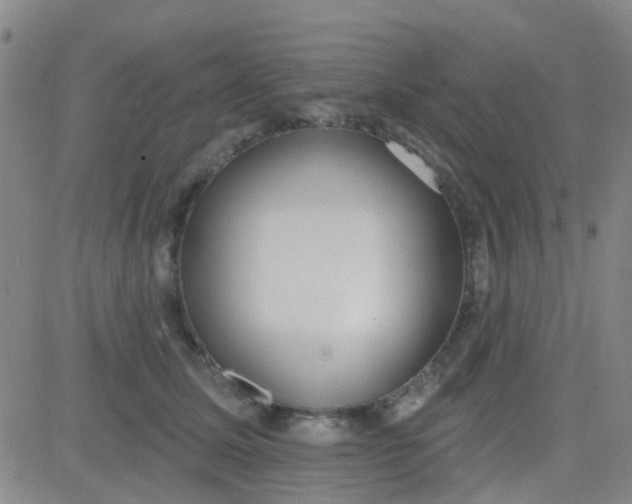 X0000083990611200703021941