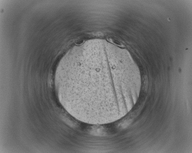 X0000083990612200703021941