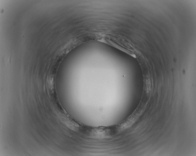 X0000083990613200703021941