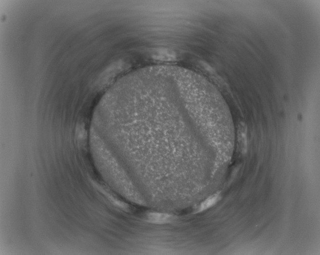 X0000083990614200703021941