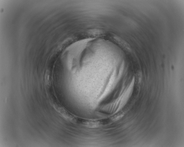 X0000083990615200703021941