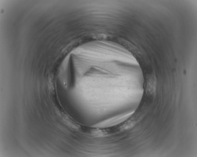 X0000083990616200703021941