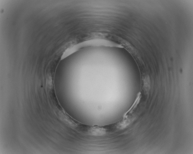 X0000083990617200703021941