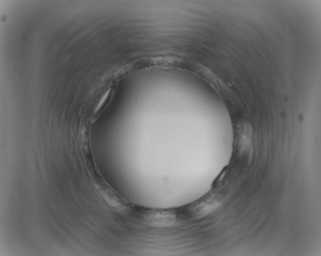 X0000083990619200703021941