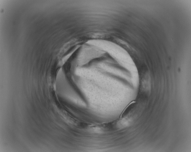 X0000083990620200703021941