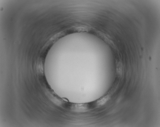 X0000083990622200703021941