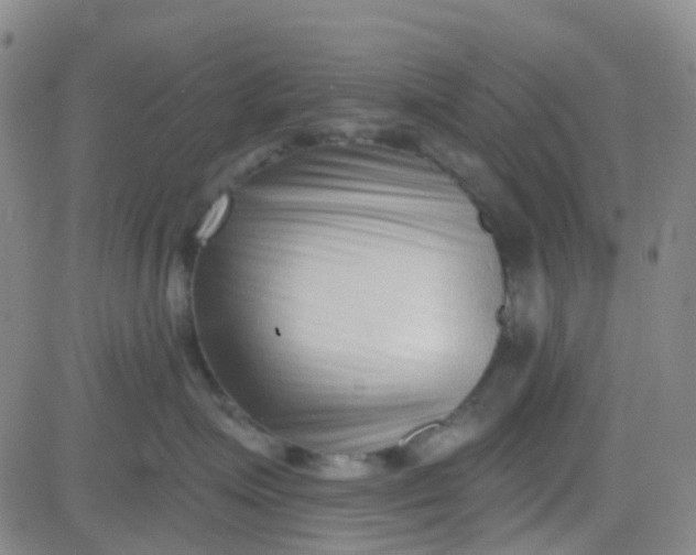 X0000083990623200703021941