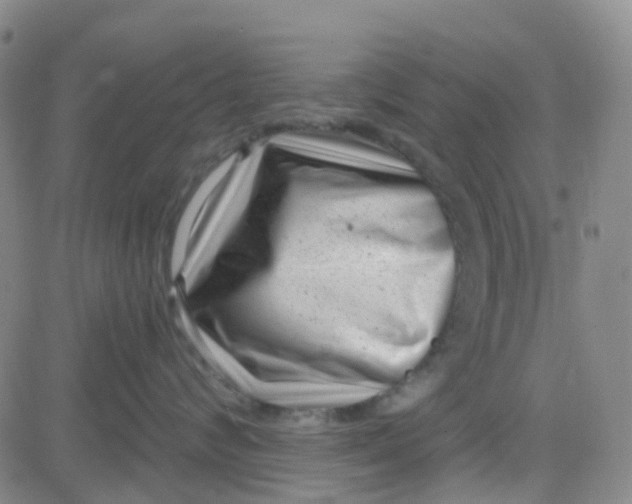 X0000083990624200703021941