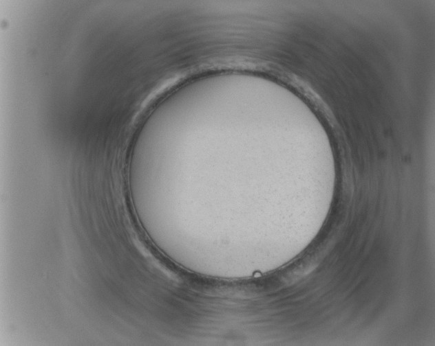 X0000083990625200703021940