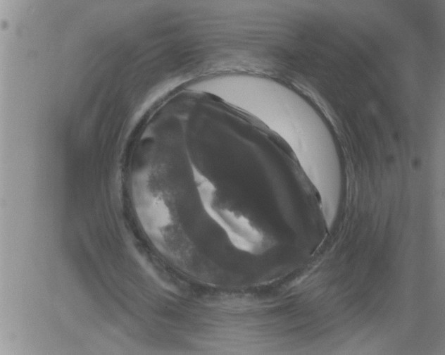 X0000083990626200703021940