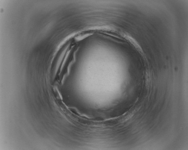 X0000083990628200703021940