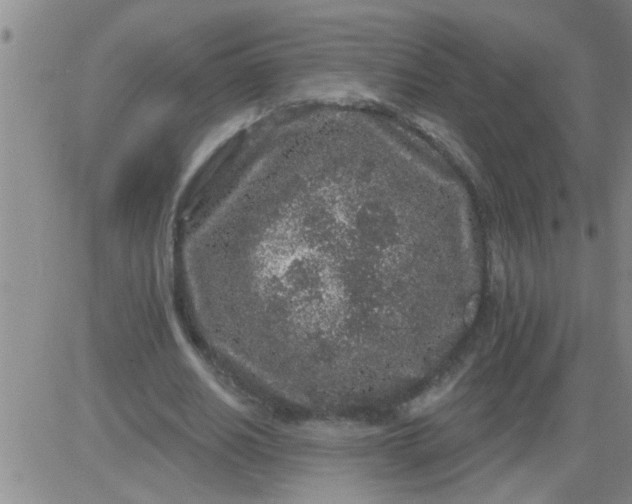 X0000083990630200703021940