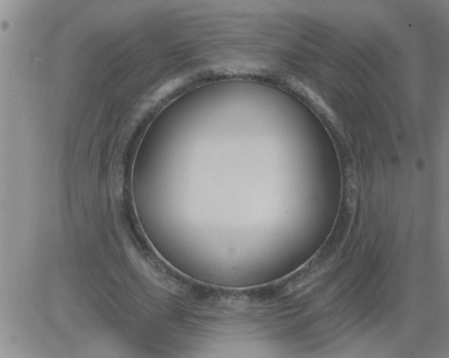 X0000083990631200703021940