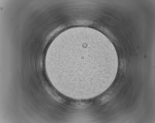 X0000083990632200703021940