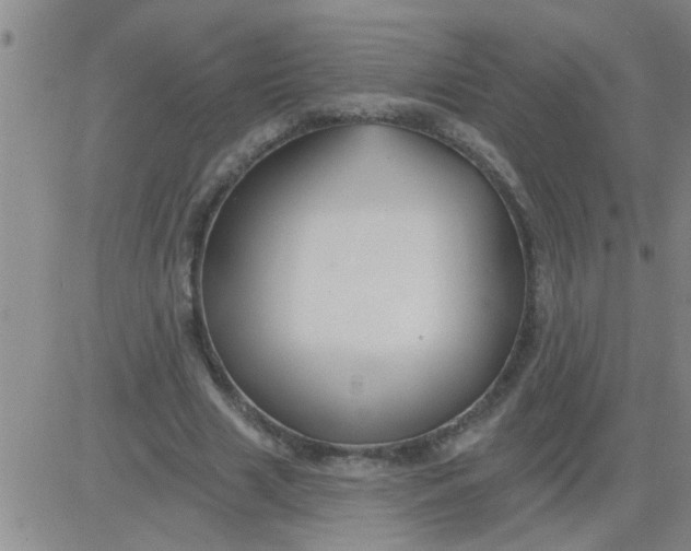 X0000083990633200703021940