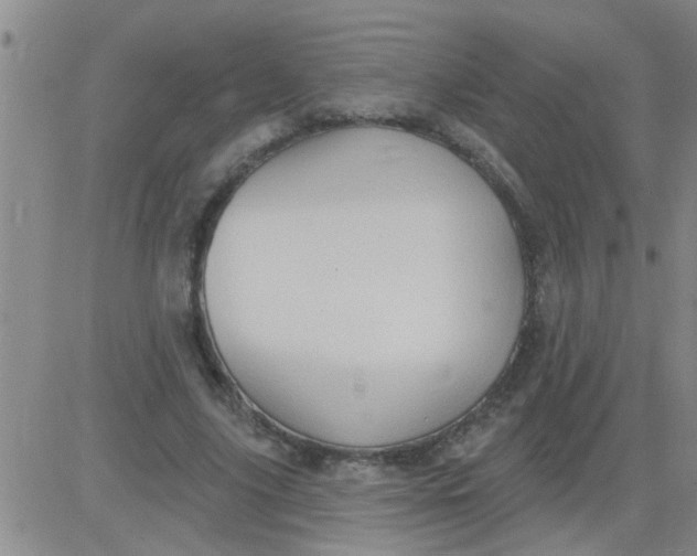 X0000083990635200703021940